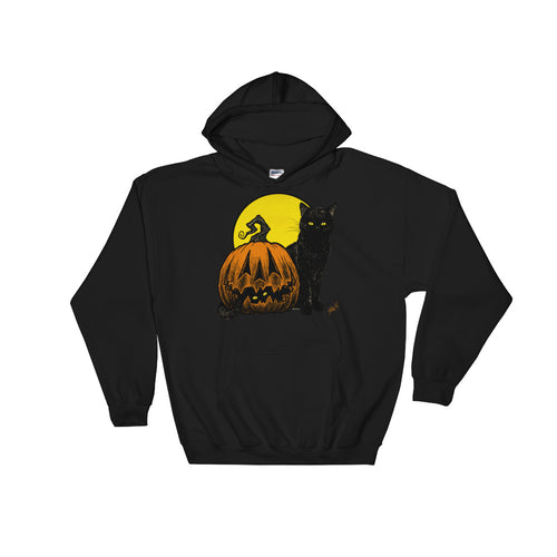 Still Life with Feline and Gourd Hooded Sweatshirt